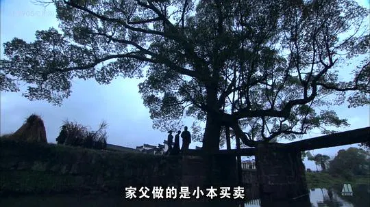 【剧情片】烽火岁月