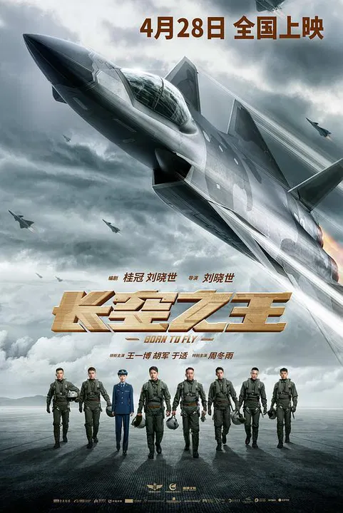【动作片】长空之王